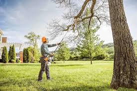 Best Lawn Renovation and Restoration  in Vandenberg Village, CA